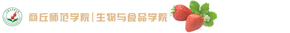 333体育